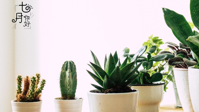 Hello July beautiful pictures desktop computer wallpaper