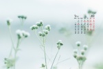 Eye protection natural scenery calendar wallpaper for March 2022