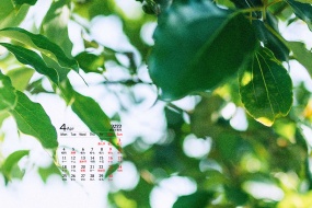 April 2022 fresh calendar wallpaper