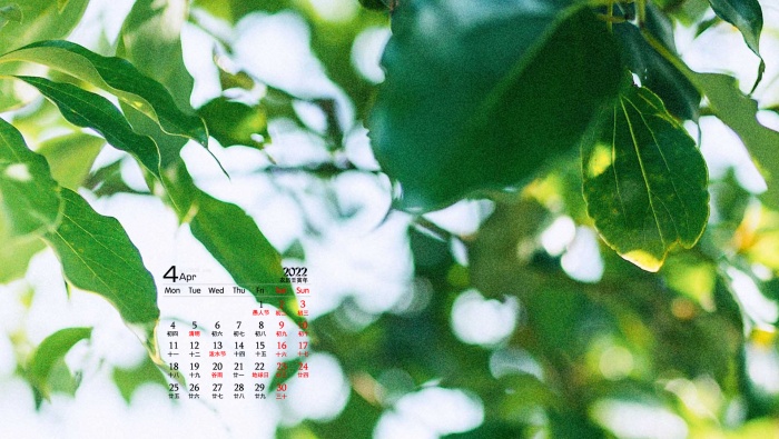 2022年4月小清新日历壁纸
