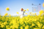 2022年4月护眼油菜花桌面日历壁纸