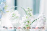 2021年12月高清日历壁纸图片