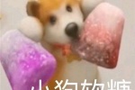 小狗软糖