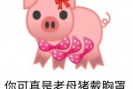 你可真是老母猪戴胸罩一套又一套