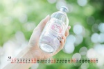 2021年5月清新护眼桌面日历壁纸