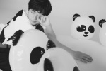 成毅熊猫童趣帅气写真图片