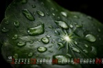 May 2022 dewdrops on the grass desktop calendar wallpaper