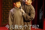 张九龄今儿我长个了吗表情包