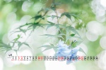 April 2021 natural scenery eye protection desktop calendar wallpaper