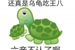还真是乌龟吃王八 六亲不认了啊