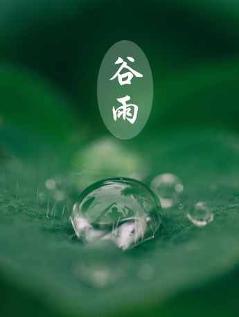 谷雨图片 谷雨唯美高清图片