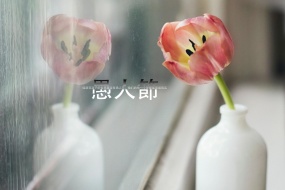 愚人节唯美鲜花图片桌面壁纸