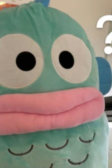 Mermaid Hanton question expression pack