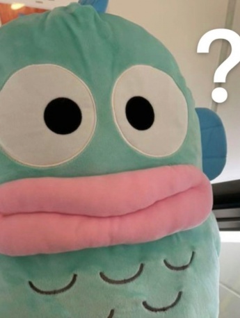 Mermaid Hanton question expression pack