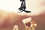 立夏手機壁紙圖片