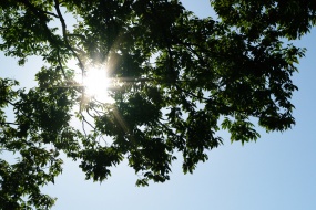天空中刺眼的太阳光图片桌面壁纸