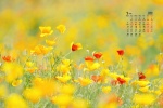 March 2022 small fresh flower caltrop desktop calendar wallpaper