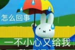 Summary of Miffy Rabbit themed expression packs