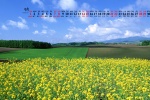 May 2022 fresh blue sky and green land scenery calendar wallpaper