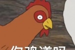 你鸡道吗