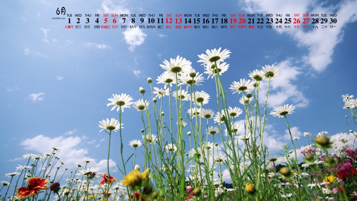 2021年6月护眼小清新桌面日历壁纸
