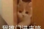 我推门进来咯