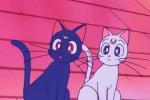 Luna Artemis couple's avatar