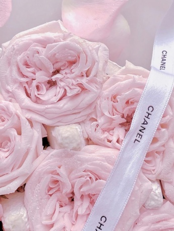 粉色玫瑰花手机壁纸