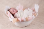 Newborn baby material picture desktop wallpaper