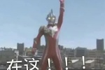 Useful Ultraman complete set of expression packs