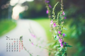 Eye-protecting green plants HD desktop calendar wallpaper for July 2021