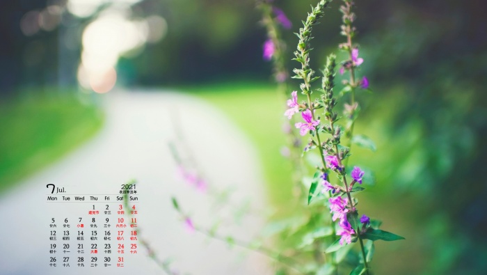 Eye-protecting green plants HD desktop calendar wallpaper for July 2021