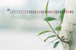 Elegant and fresh desktop calendar wallpaper for August 2021