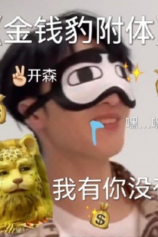 时代少年团金钱豹联动表情包