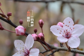 三月再见你好四月桌面壁纸图片