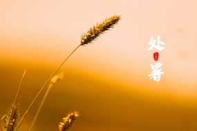 Traditional twenty-four solar terms to deal with summer heat computer wallpaper