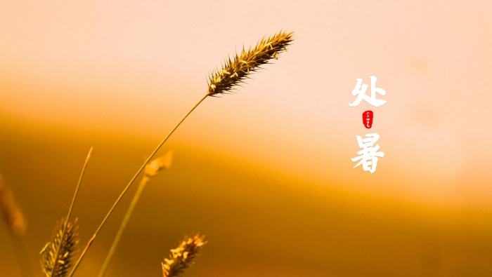 傳統二十四節氣處暑電腦壁紙