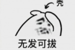 无发可拔表情包