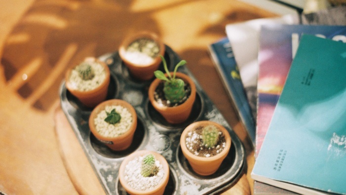 家居靜物擺設唯美清新圖片桌麵壁紙