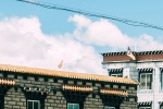 Tibet blue sky and white clouds fresh mobile wallpaper