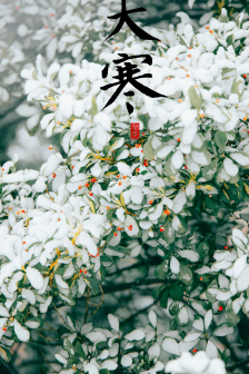 Twenty-four solar terms and great cold mobile wallpaper