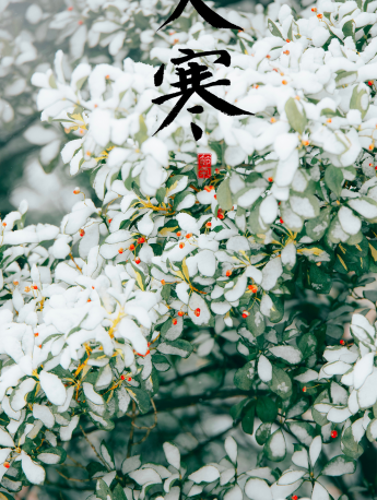 二十四節氣大寒手機壁紙