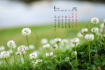 January 2022 green plant eye protection calendar wallpaper