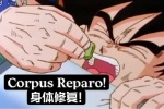 身体修复！