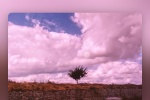 Beautiful artistic conception mobile wallpaper pictures