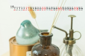 November 2021 small fresh still life desktop calendar wallpaper