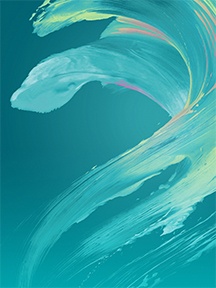 索尼XZs原生自带壁纸