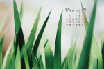 2022年4月夏日草地绿叶护眼桌面日历壁纸