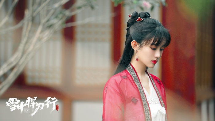 Meng Ziyi《Fighting Swordsman in the Snow》Picture Desktop Wallpaper