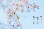 2022年3月小清新静物花卉日历壁纸